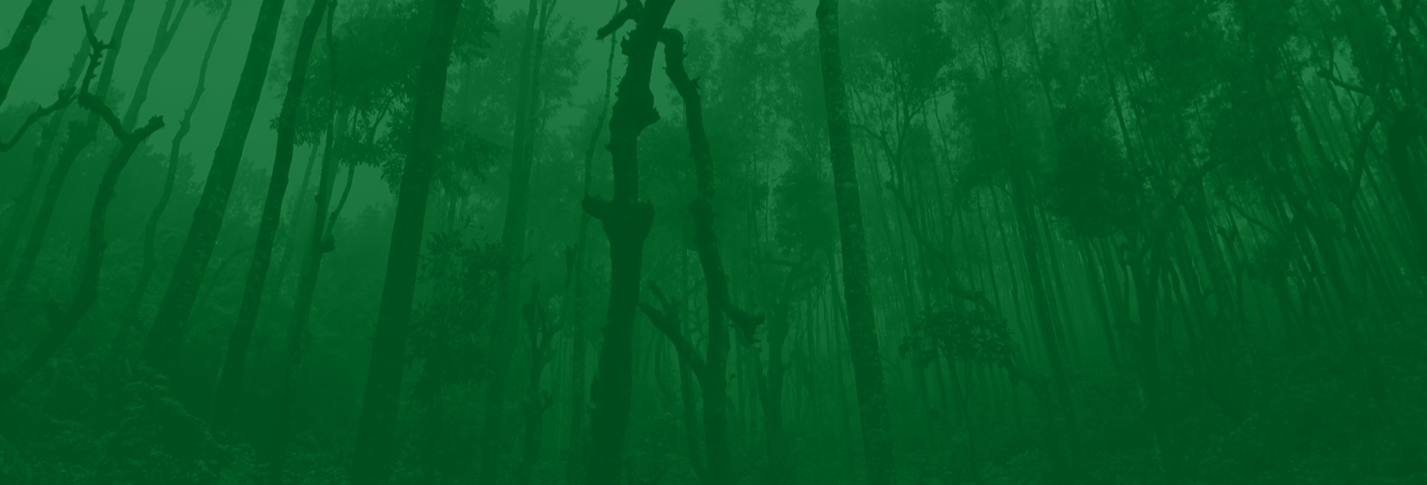 Forest products and legality